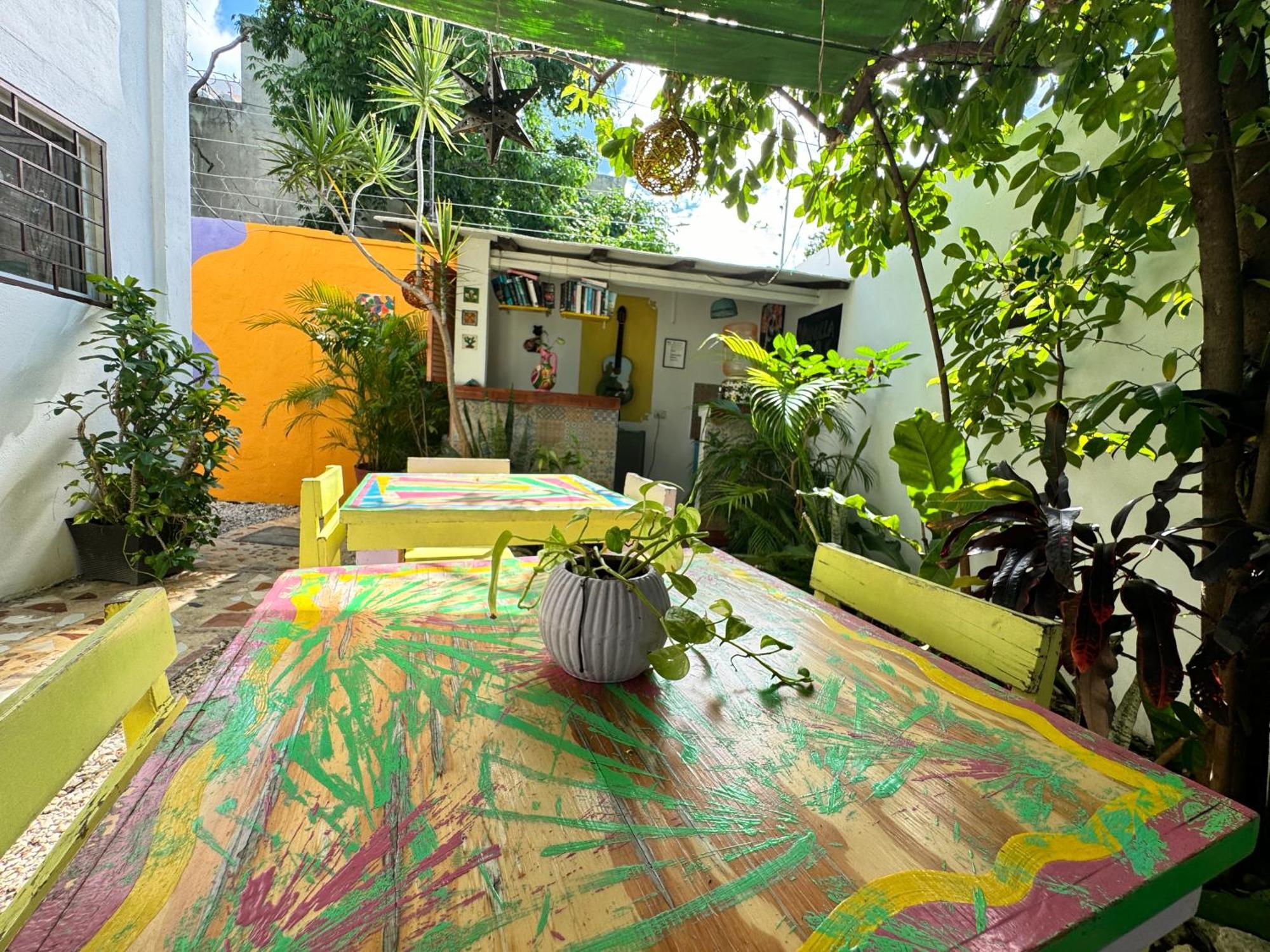 "Vainilla B&B" - Stylish Comfort In Playa Del Carmen Bagian luar foto