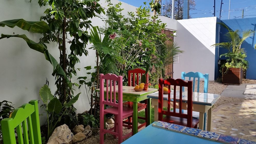 "Vainilla B&B" - Stylish Comfort In Playa Del Carmen Bagian luar foto