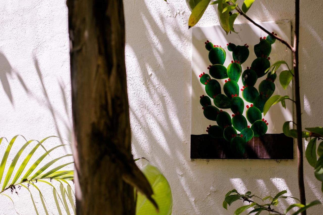 "Vainilla B&B" - Stylish Comfort In Playa Del Carmen Bagian luar foto