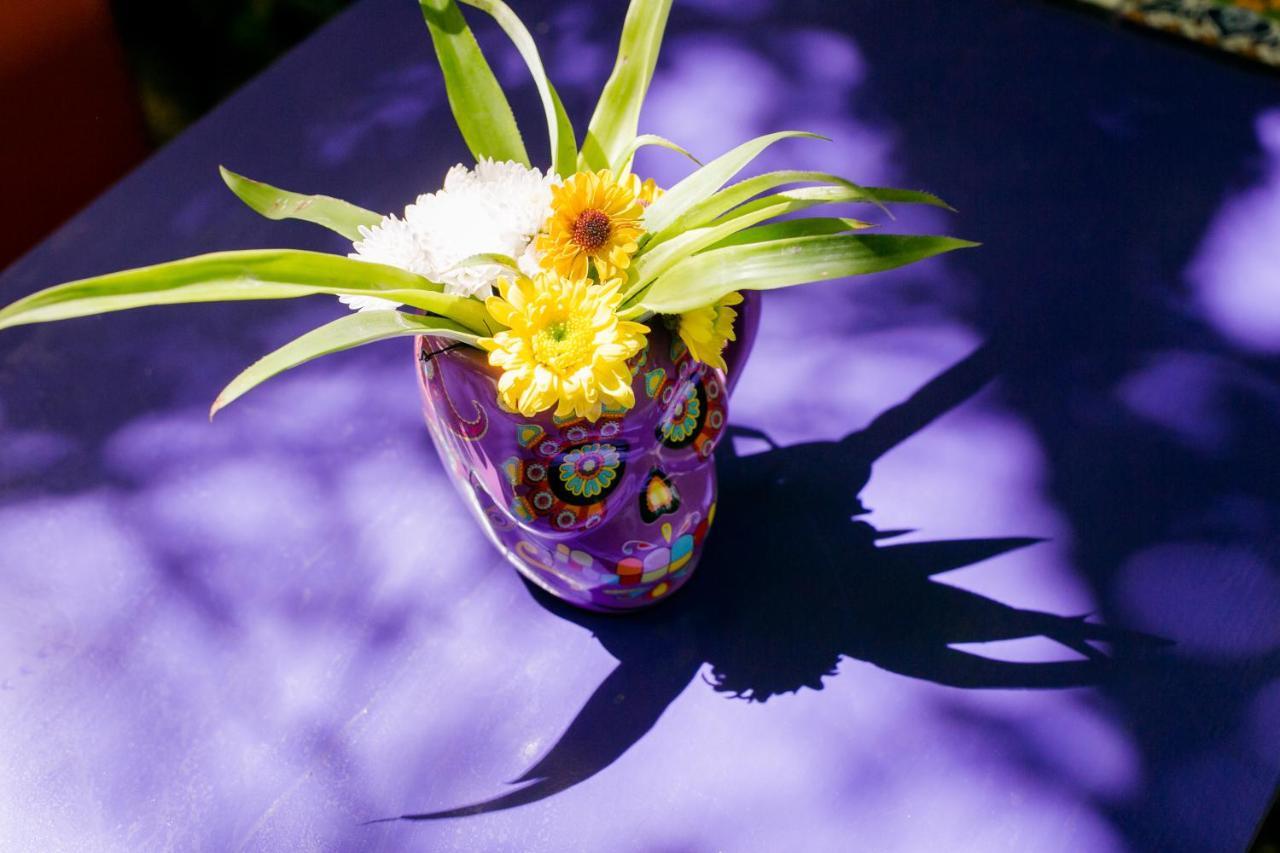 "Vainilla B&B" - Stylish Comfort In Playa Del Carmen Bagian luar foto